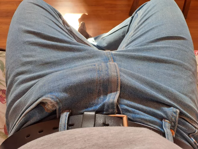 Bulge [33]
