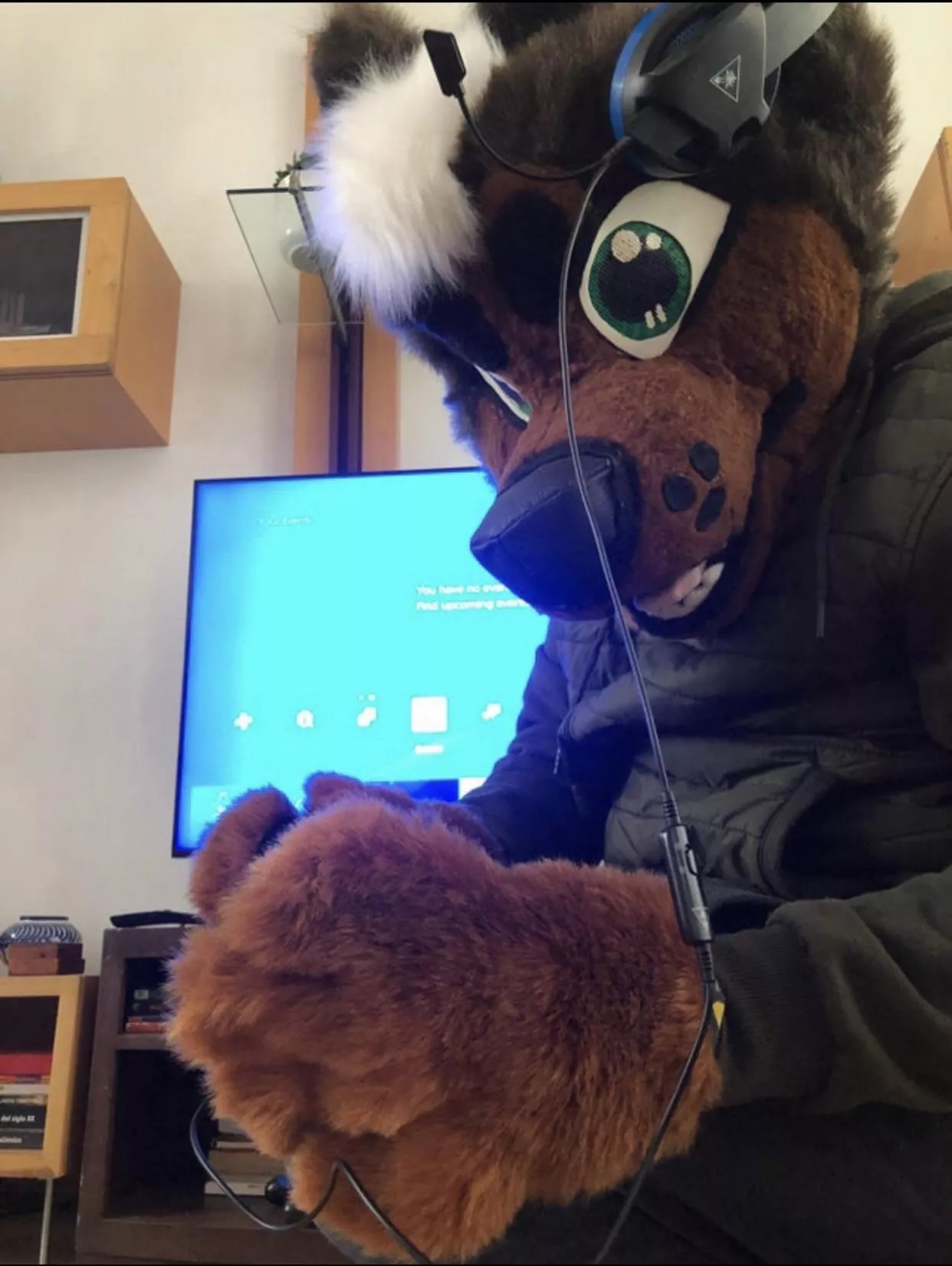 Hey you!, do you like videogames?