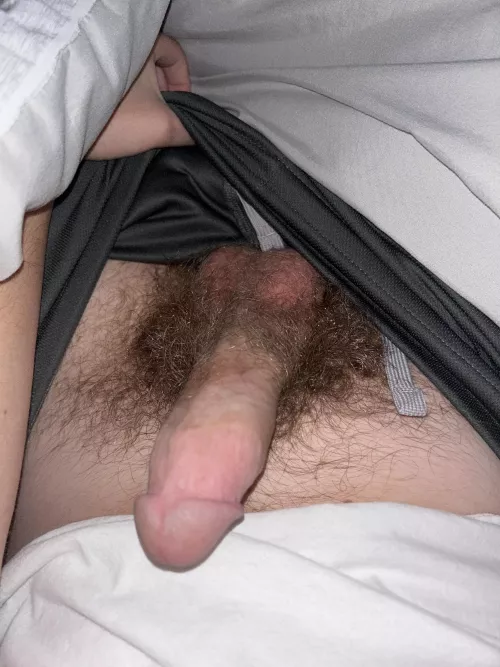 How’s my bush?? (DMs open)