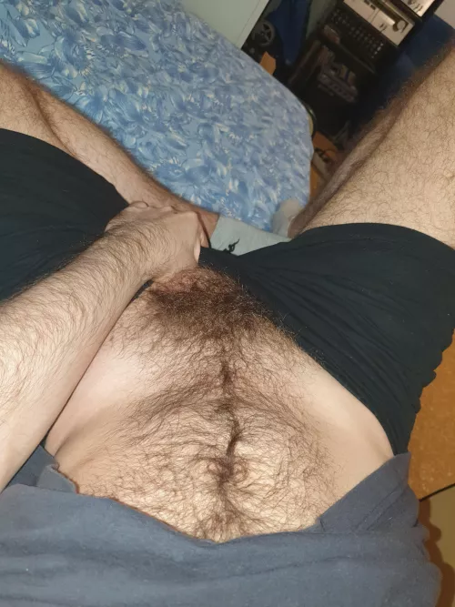 Is that a nice bush?!