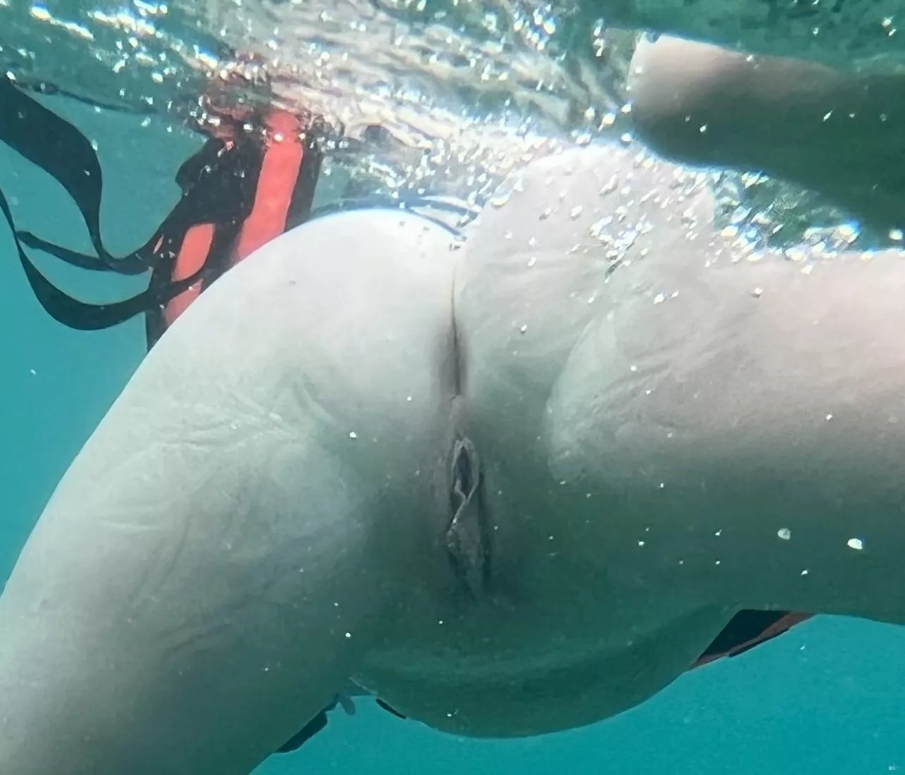 Just keep swimming…