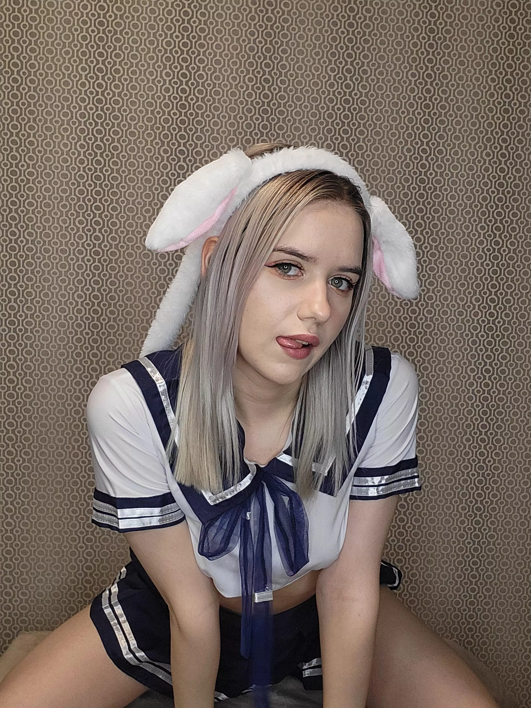 Rabbit sailor in search of the great carrot