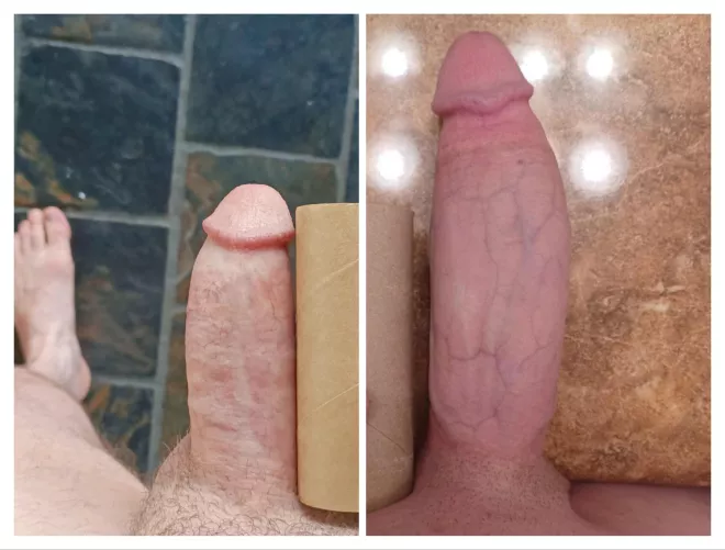 Toilet roll compare. Are you smaller than the left or bigger than the right?