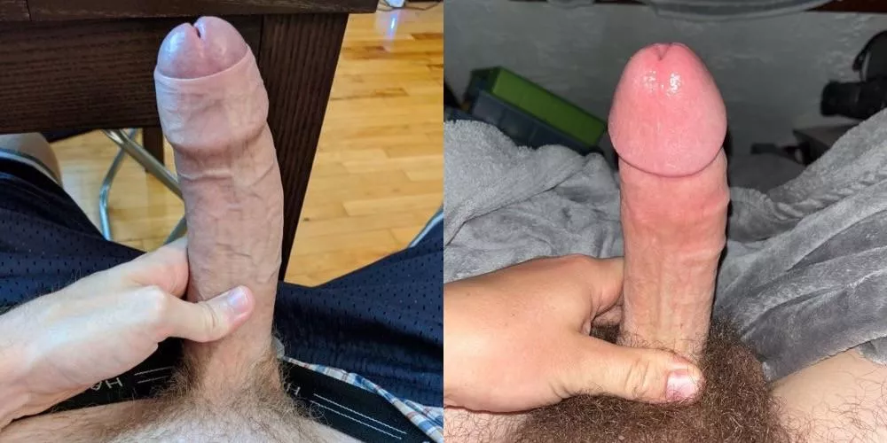 Which cock would you rather , left or right? Which cock would you rather , left or right?