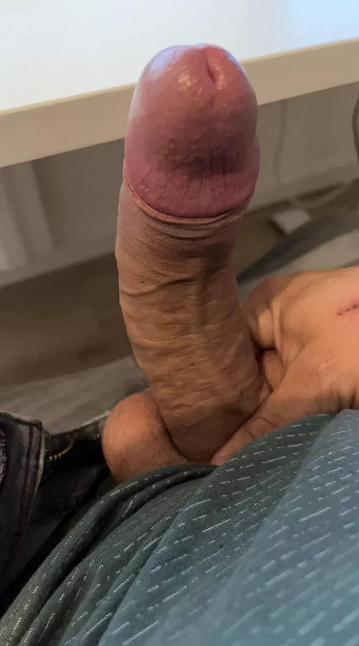 Who can please my Dutch cock?