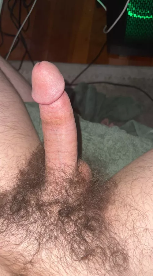 Anyone here like bushes?