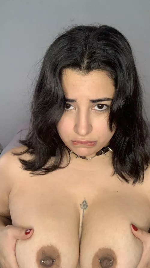 Definition of perfection