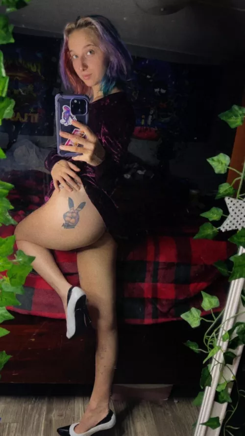 (f21) i adore anything velvet