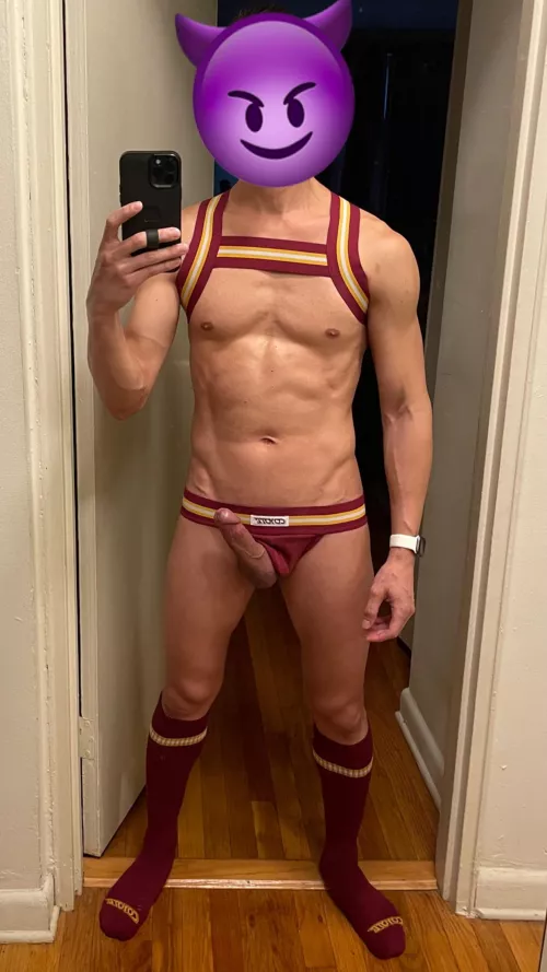 I got broke down and bought the matching harness and socks [30s]