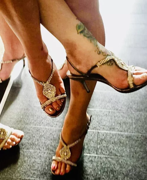 Imagine being all tangled up in this.