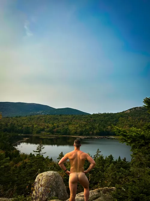 It’s all good in the woods 📍ANP