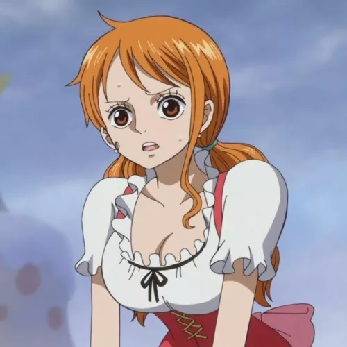 Picture Nr. 7 of Nami ... Who likes Anime Pics more than Fanart ?