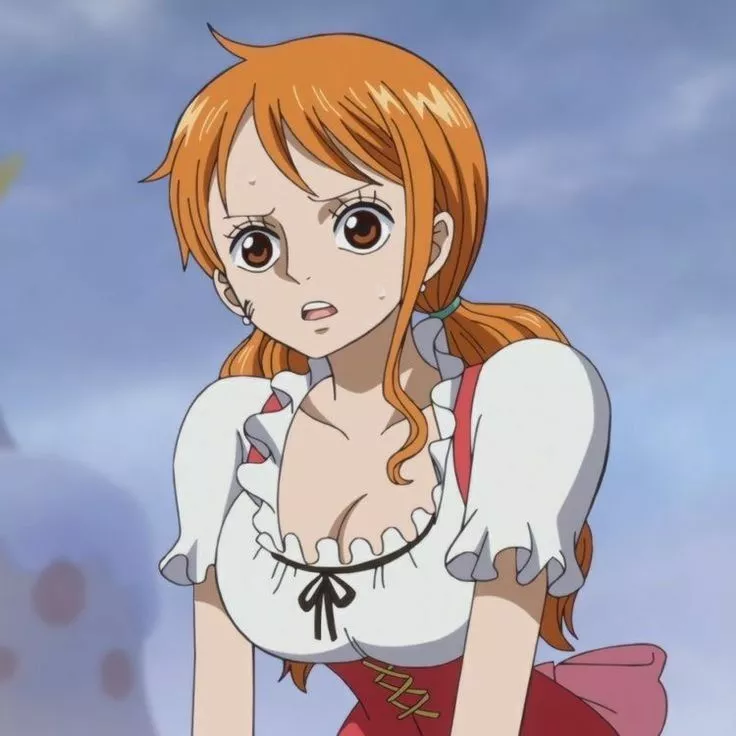 Picture Nr. 7 of Nami ... Who likes Anime Pics more than Fanart ?