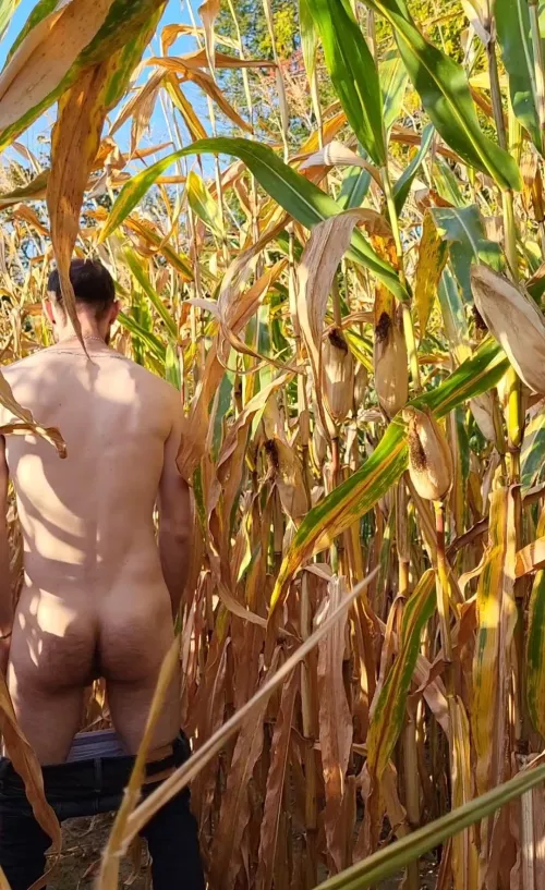 Round of cornhole anyone?