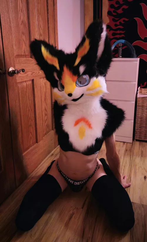 Since you're here do you mind helping scratch an itch?