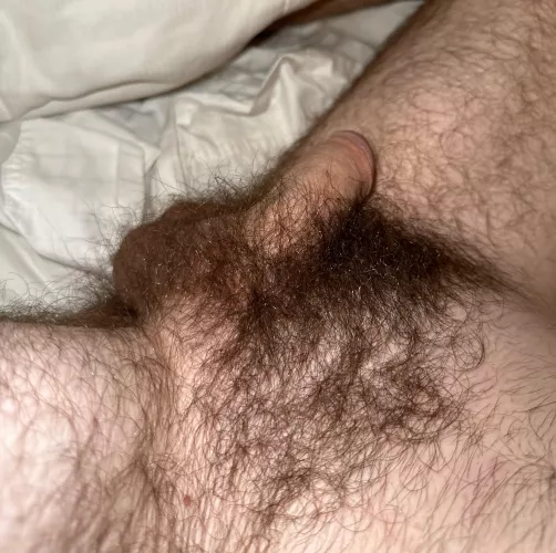 soft and hairy