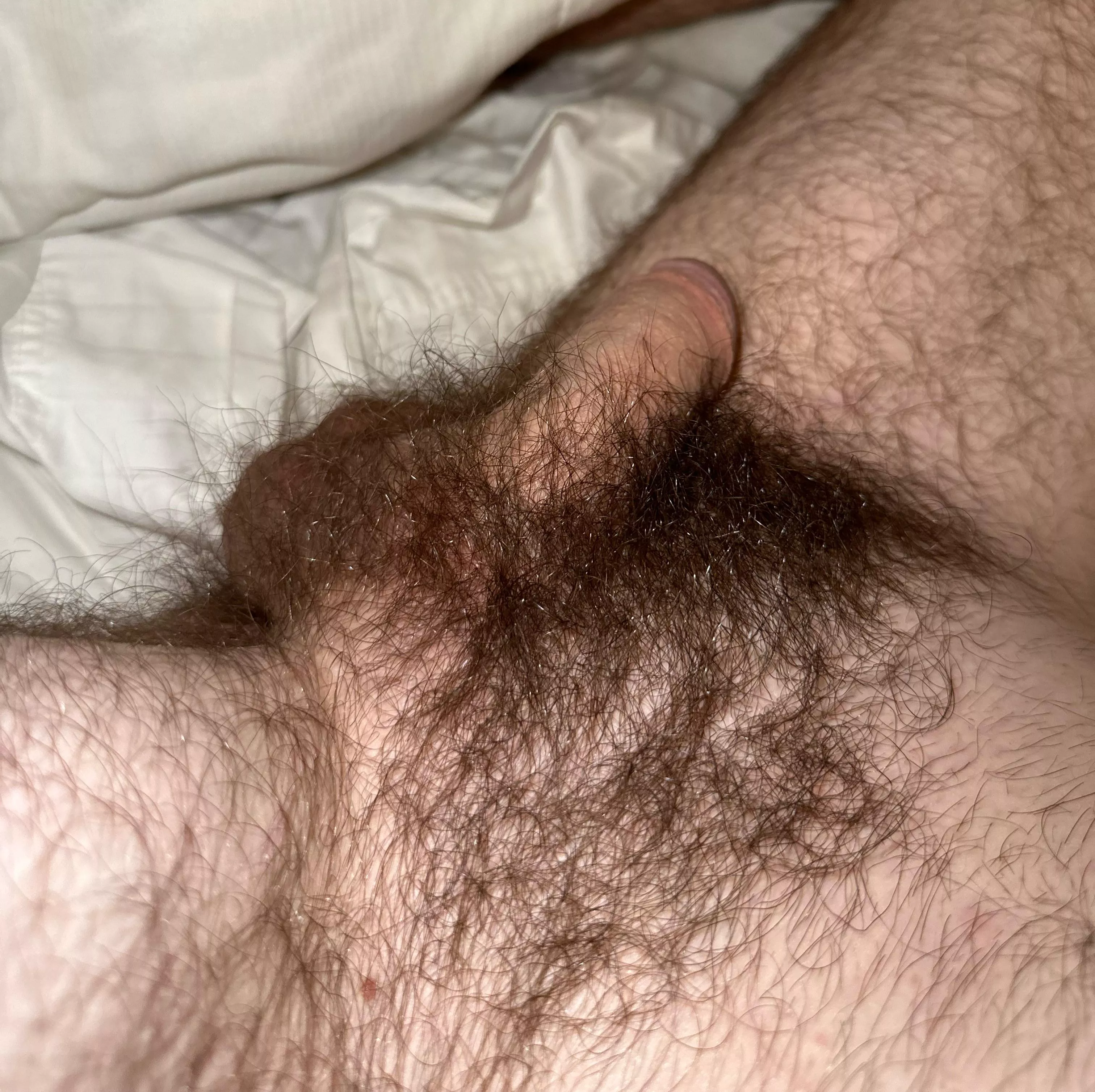 soft and hairy