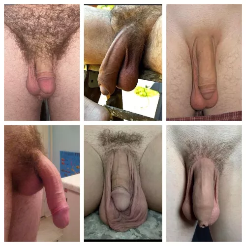 Softie competition - rank best to worst