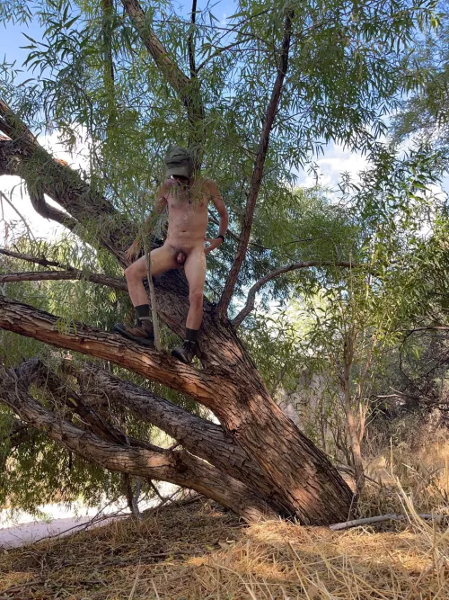 Tree pose Tuesday 🌲