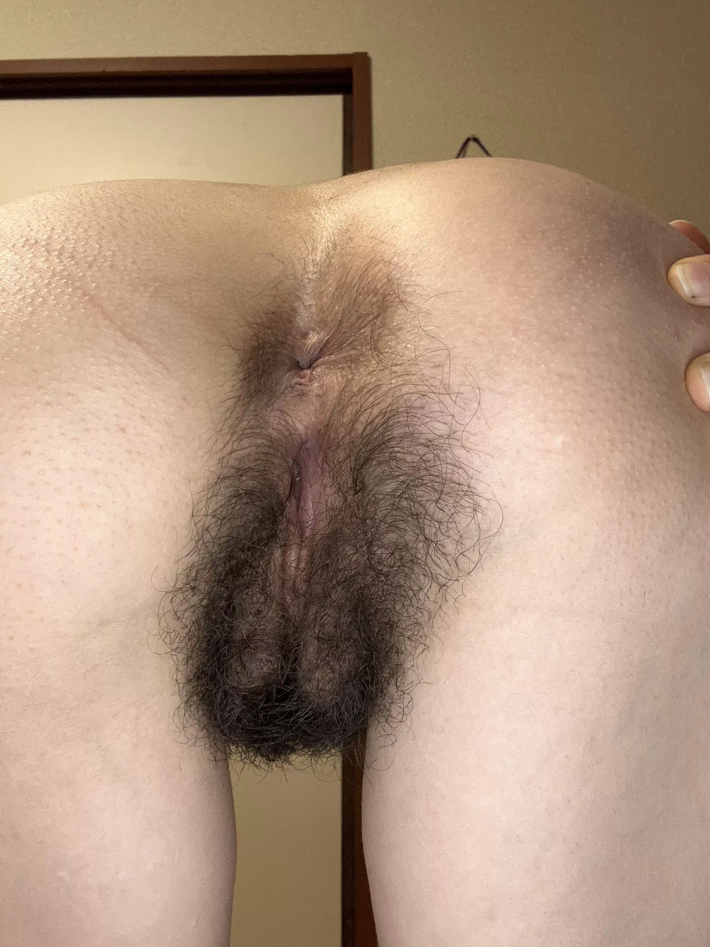 What’s the most exciting thing about hairy pussy?