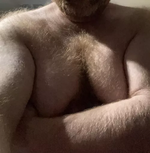 Bear for boy under 30