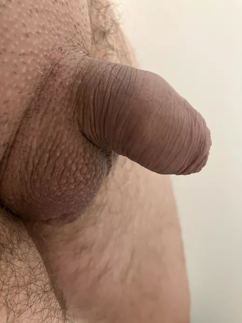 Do you like my small Softie?