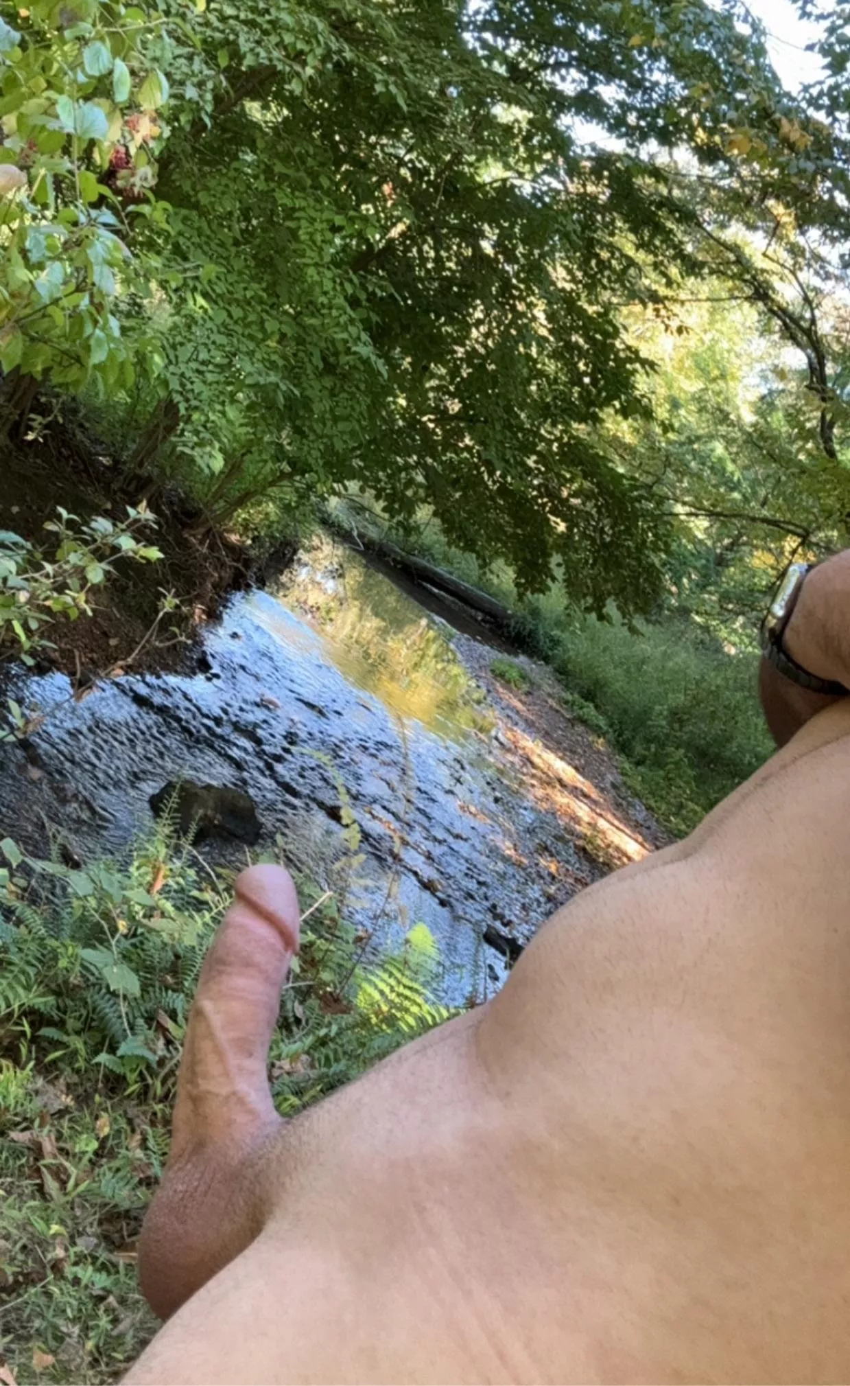 Enjoying the woods a little too much