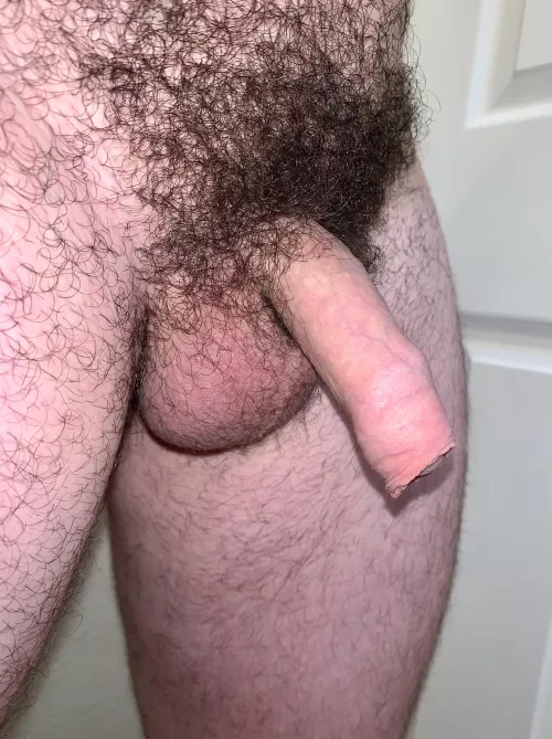 I love having black pubic hair with my pale skin .