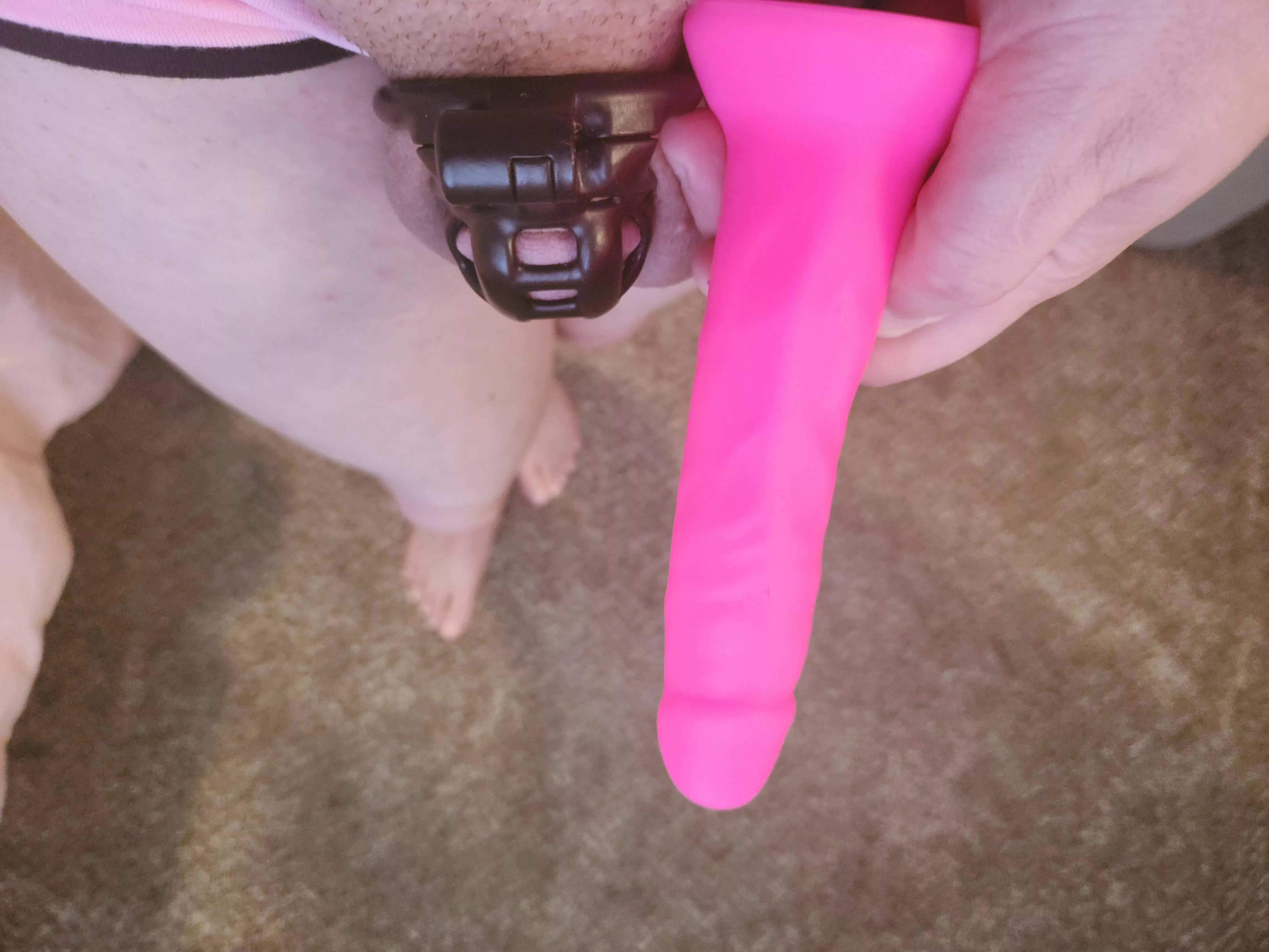 I love my clitty shrinking away in comparison to my toys