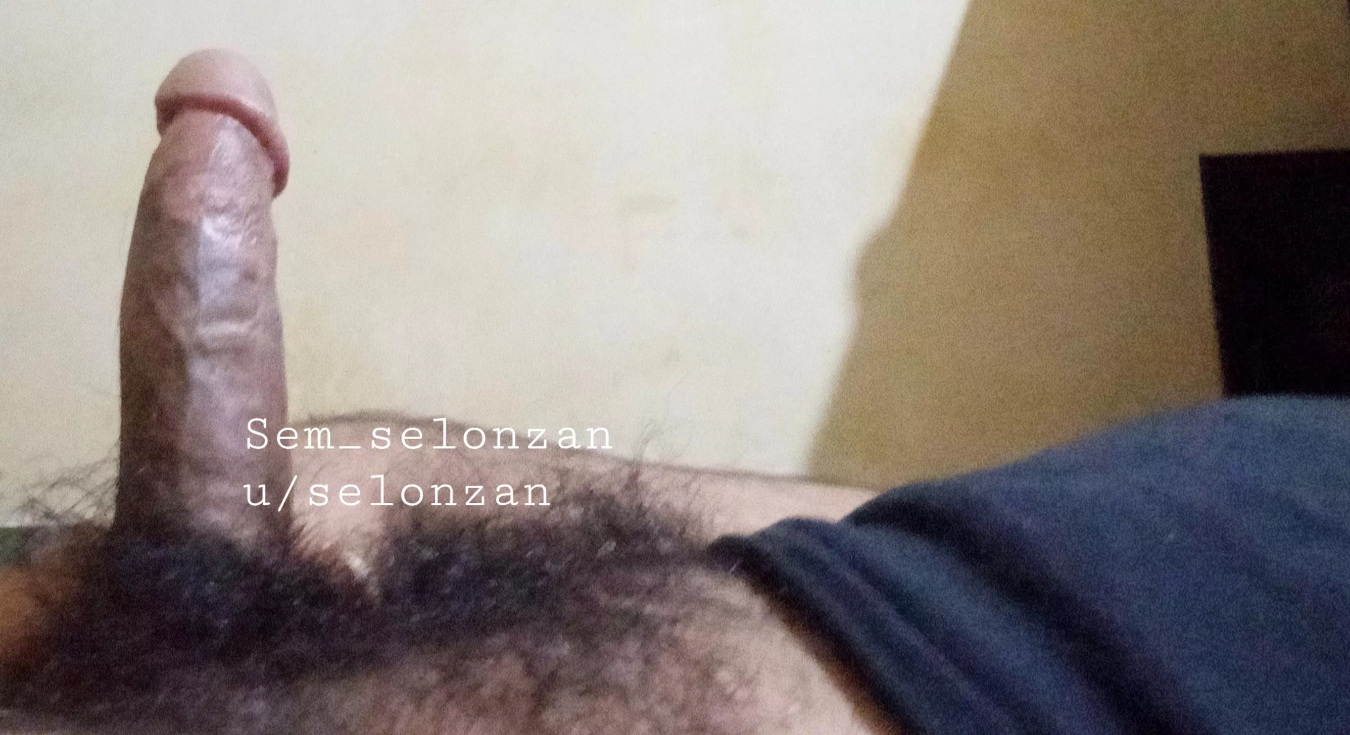 Is this a nice bush?do I need to shave?m24