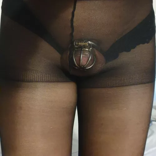 It looks better in a cage and pantyhose