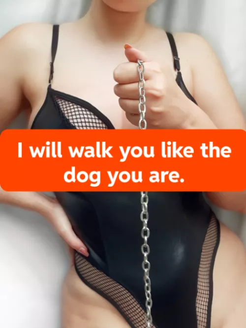 Ready to use your leash ?
