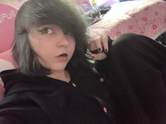 Very comfy boy also cat in the back