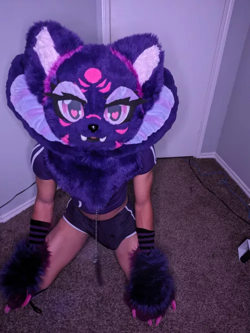 What would you do if you had a Plex for a day?