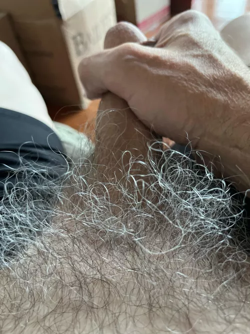 Who likes gray pubes?