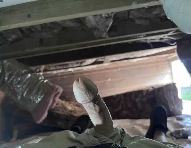 Working hard? Or hardly working 🤣