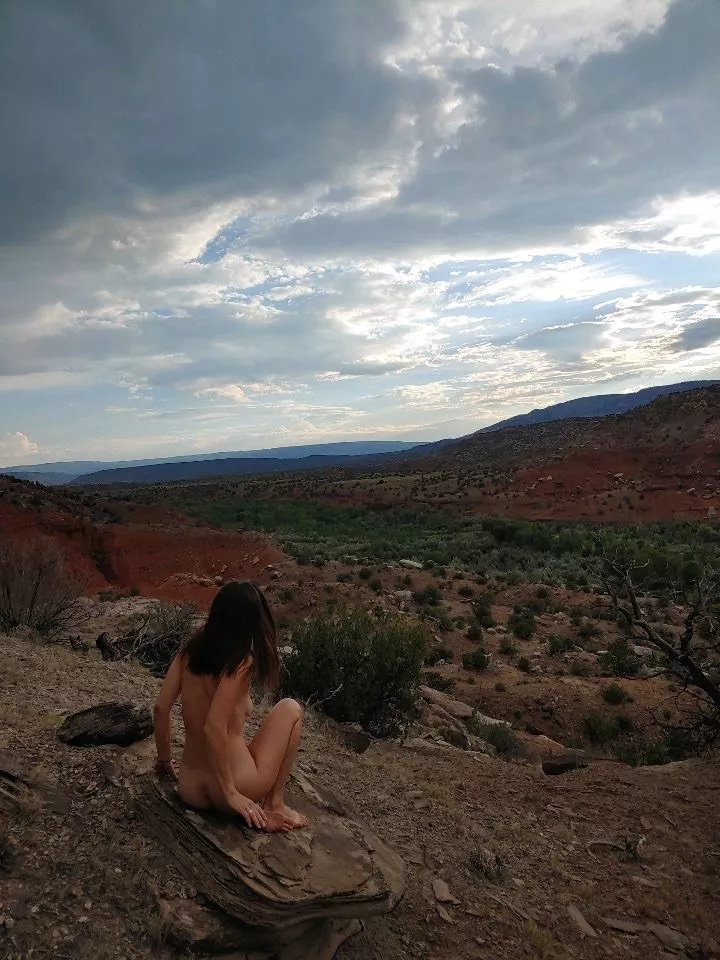 Desert twilight just before temperatures start to drop