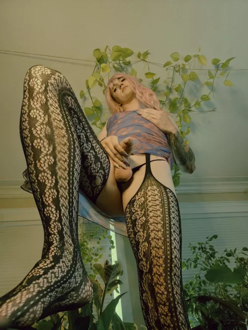 Fully feminized, now I want a sissy to train!