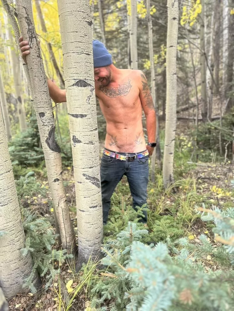 Just a walk in the woods