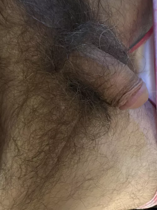 My hairy bush