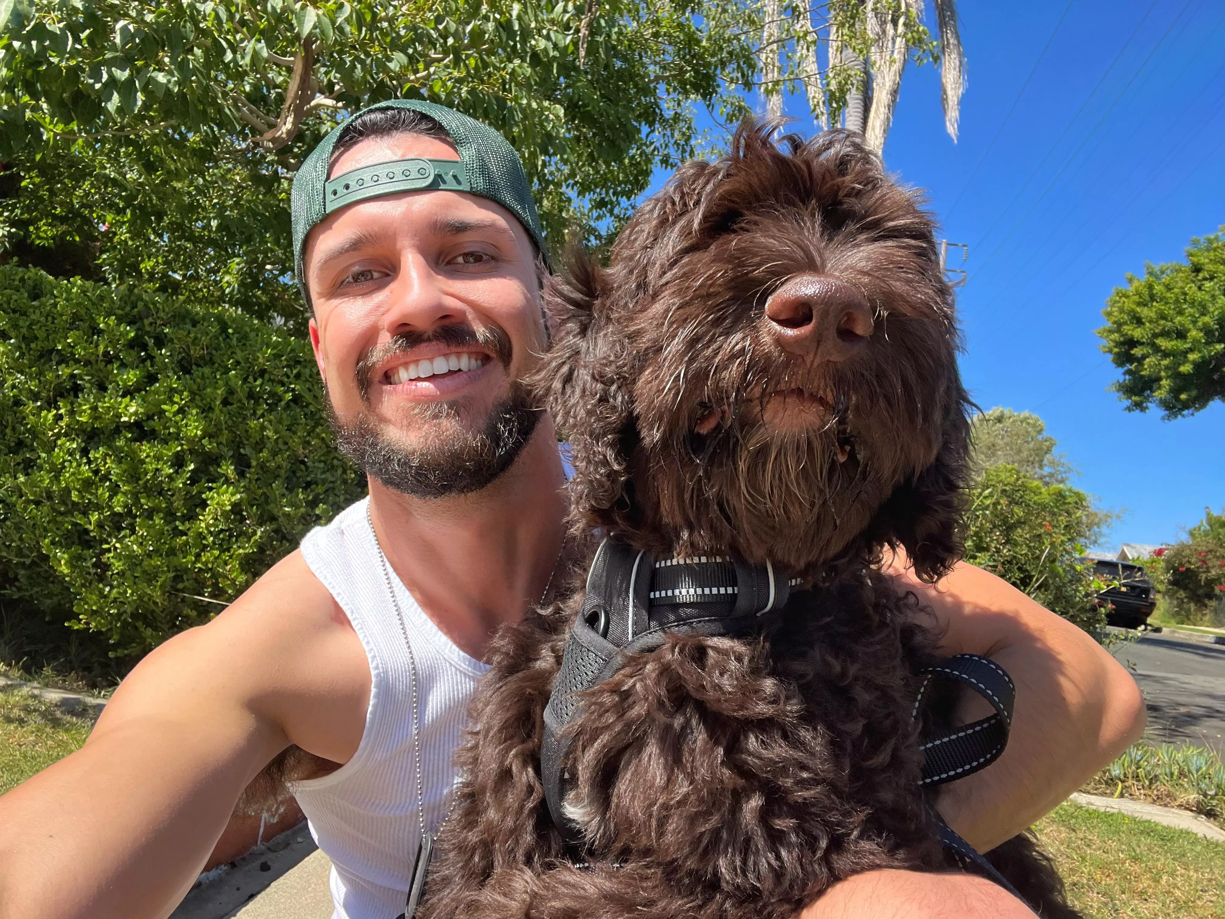 Puppy’s first walk 😍 Puppy’s first walk 😍