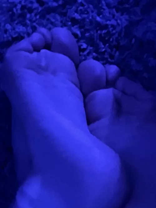 What would you do with them~?