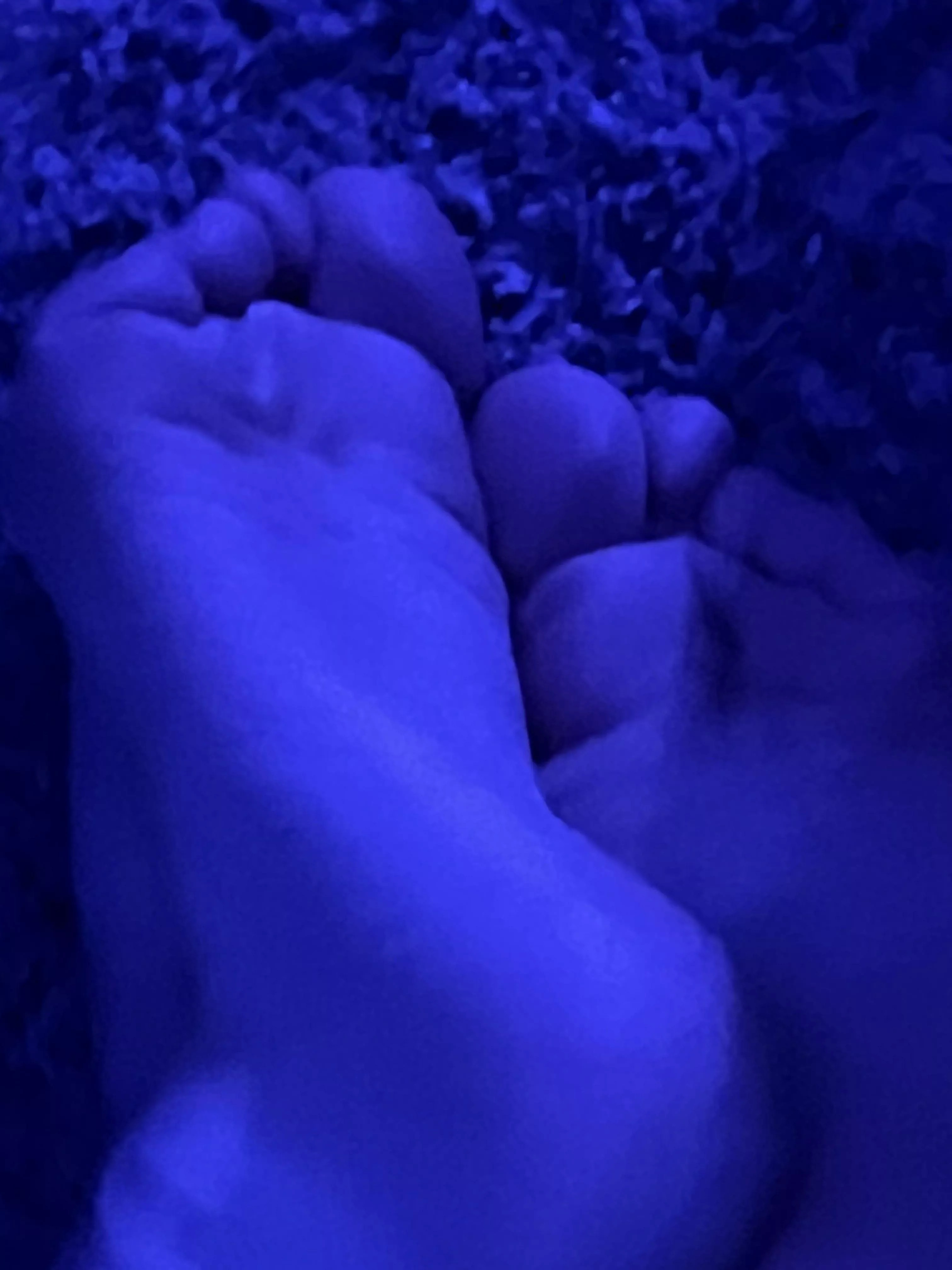 What would you do with them~?