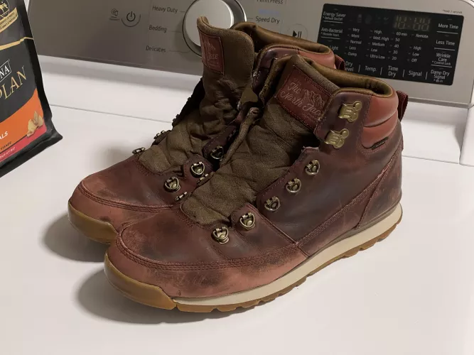 Any advice on reviving these?