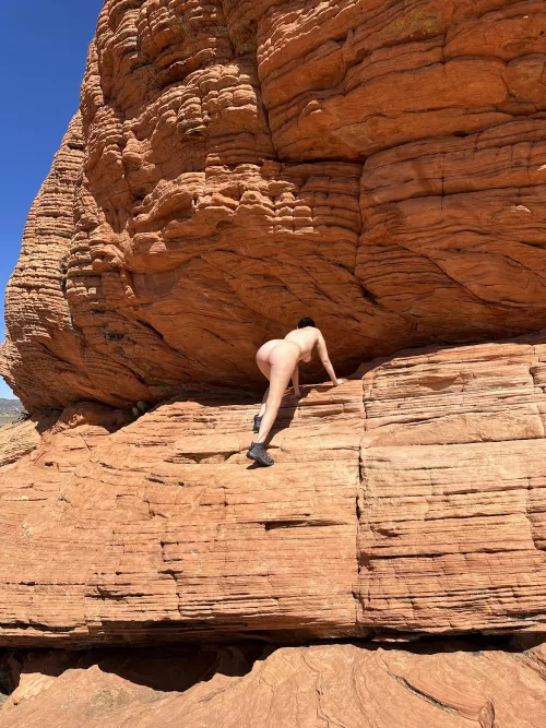 “I thought to myself, ‘I wouldn’t want to be poked by that cactus,’ but I’ll probably be poked by the guy taking my picture.”