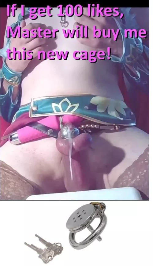 If I manage 100 likes, Master said He would buy me a flat cage!