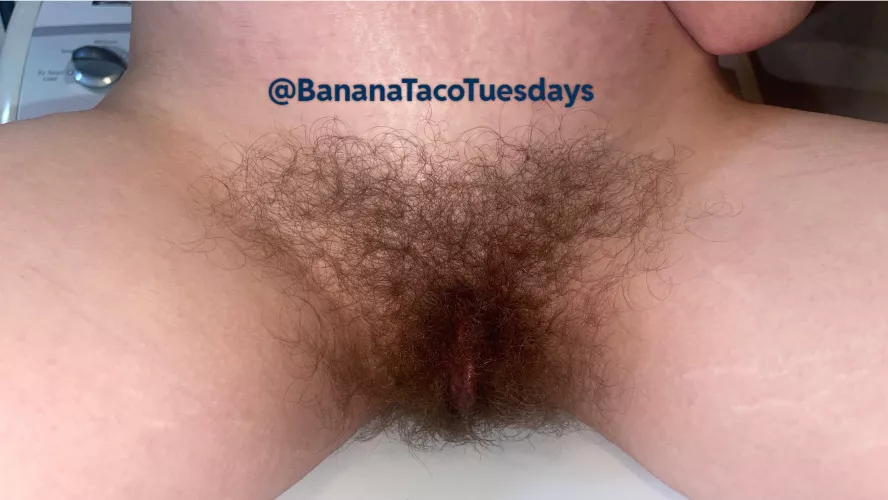 Laundry day masturbation