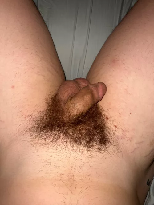 Should I shape it up?