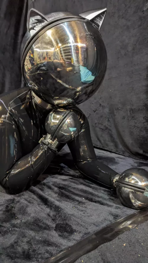 Sorry I'm not very cat girl! But this hood looks so cute with cat ears