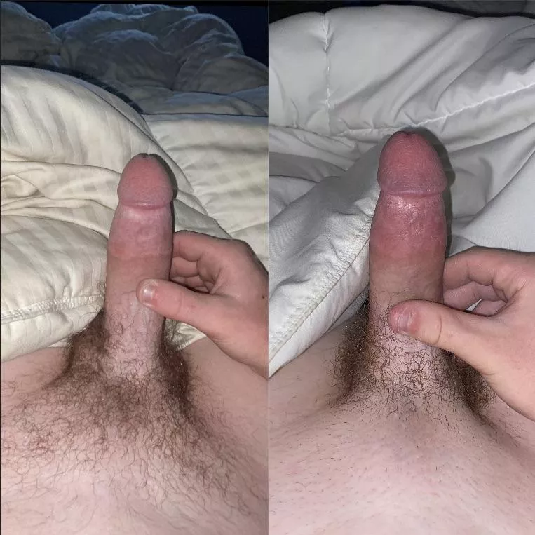 What do you prefer…hairy or short